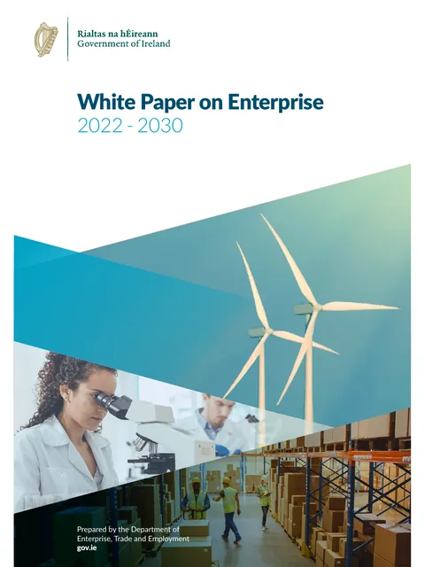 Cover: White Paper on Enterprise 2022–2030, Department of Enterprise, Trade and Employment